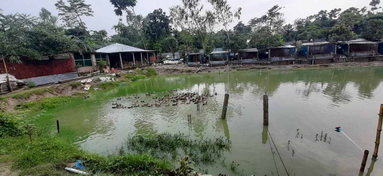 Gaea Agro farm photo 1