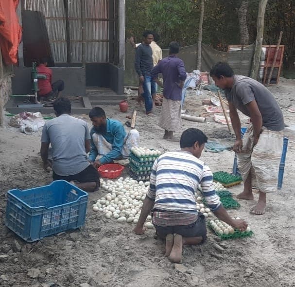Gaea Agro farm photo 5